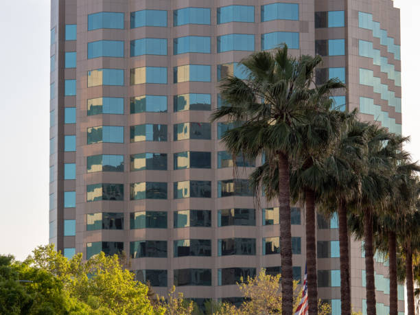 istock Palm streets stand outside of a modern office building 948094466