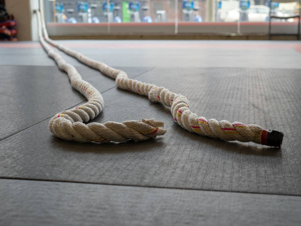 istock Battle ropes exercise attached to wall, floor level view 948095716