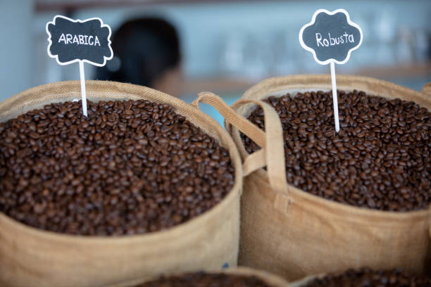 로 부 스타와 아라비 카 커피 콩 - cappuccino coffee bean bean espresso 뉴스 사진 이미지
