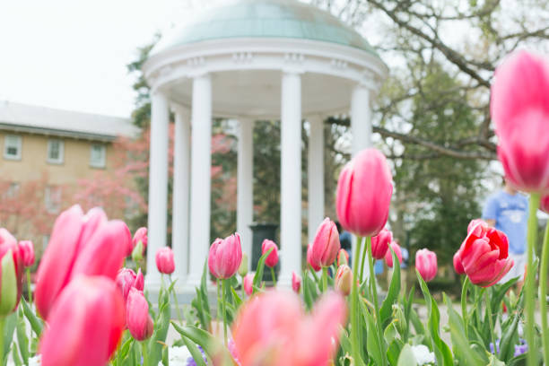 unc-chapel hill old well na wiosnę - university of north carolina zdjęcia i obrazy z banku zdjęć