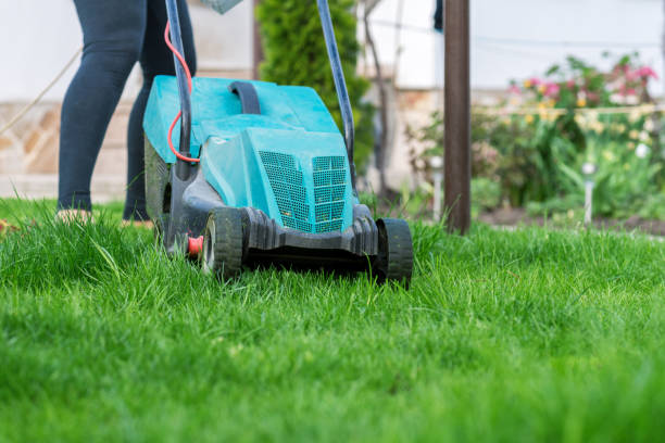 istock Cutting the grass with electric lawn mower. 948136140