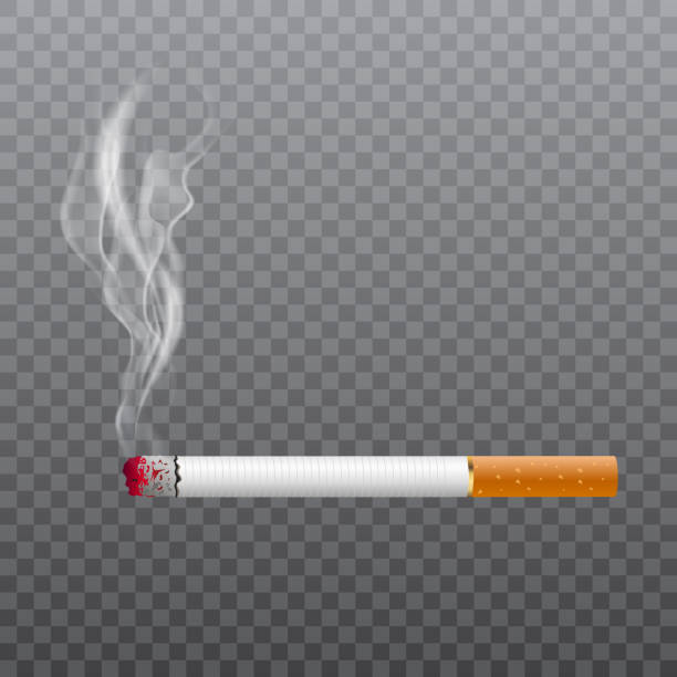 ilustrações de stock, clip art, desenhos animados e ícones de realistic cigarette smoking on transparent background. vector. - smoke smoking abstract wave pattern