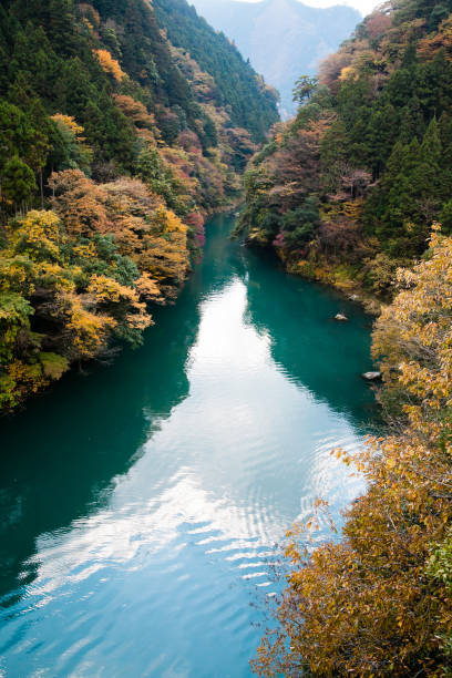 istock Japanese canyon in autumn 948153388