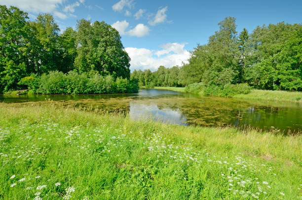 istock The natural landscape in the spring. 948153580