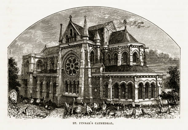 illustrations, cliparts, dessins animés et icônes de cathédrale, cork, county cork, irlande victorienne gravure de st. finbar, 1840 - cork