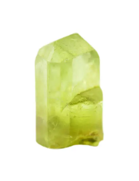 Gemstone chrysolite. Collection specimen of a green peridot mineral isolated on a white background