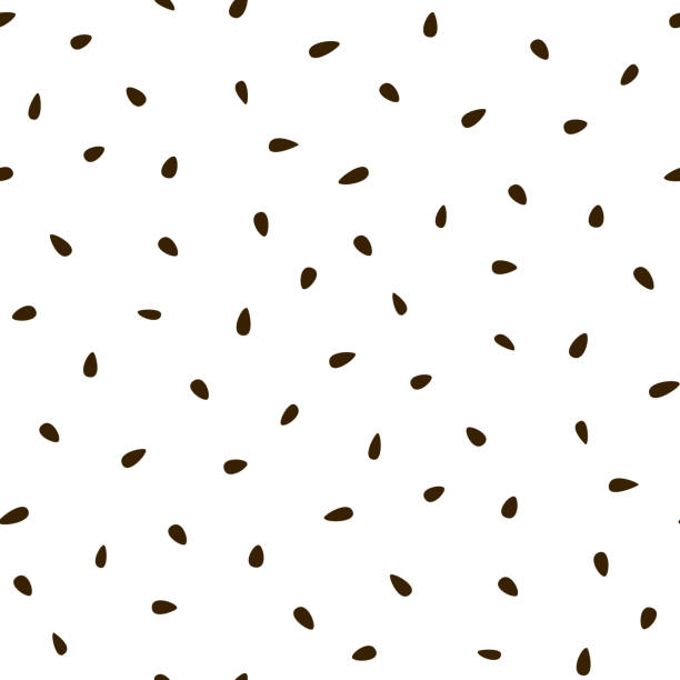 векторный фон семян на белом фоне. - sesame black seed white background stock illustrations