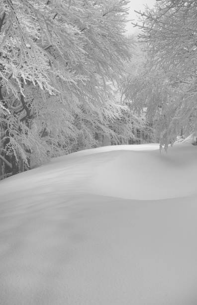 istock Winter morning sunrise in the mountain 948182914