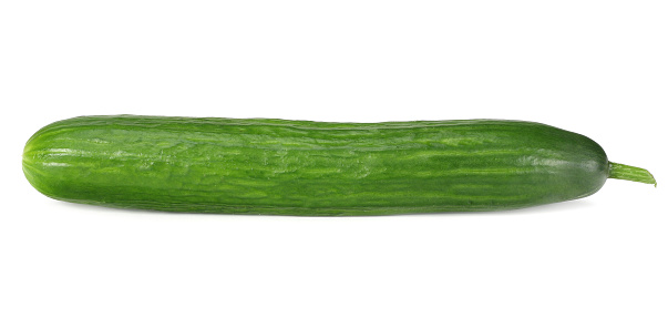 one fresh cucumbers isolated on white background