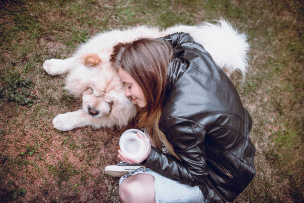 若い女性が公園で彼女のチャウチャウ犬を抱いて - chow domestic animals animal beautiful ストックフォトと画像