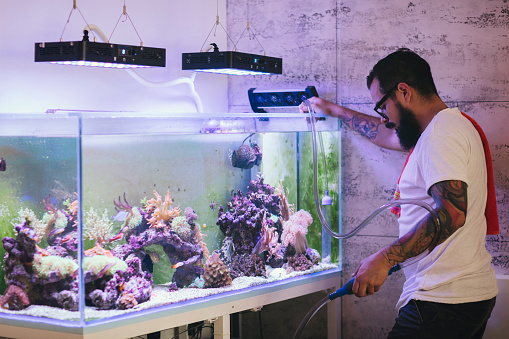 Bearded man cleaning his reef tank.