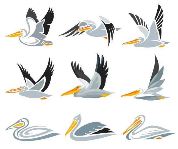 Vector illustration of Stylized Birds