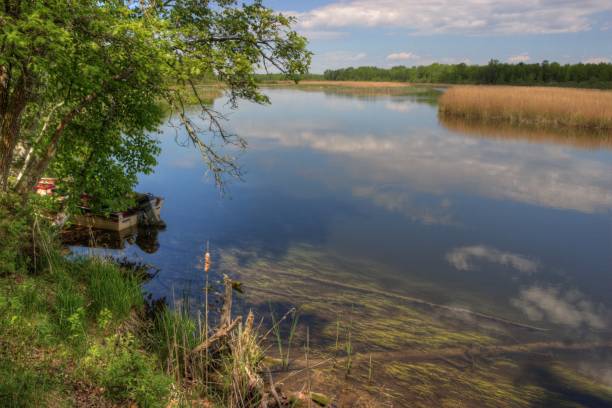 istock Summer in Schoolcraft State Park located in Northern Minnesota 948205924