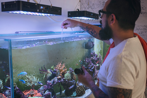 Bearded man doing water test in his reef tank.
