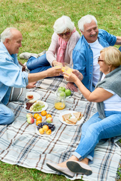 istock Happy Seniors Enjoying Picnic in Park 948262022