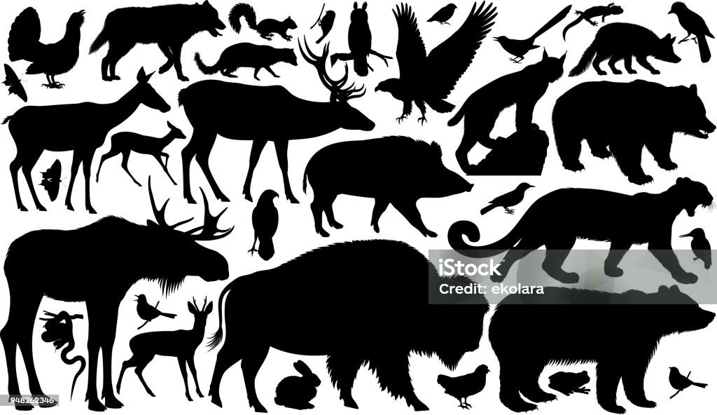 vector set of woodland animals silhouettes In Silhouette stock vector