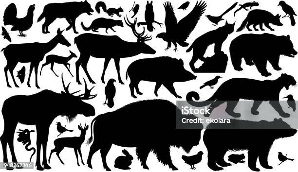 Vector Set Of Woodland Animals Silhouettes Stock Illustration - Download Image Now - In Silhouette, Animal, Animal Wildlife