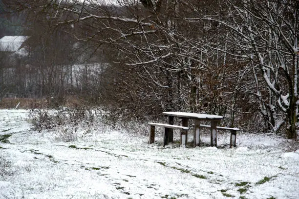 Photo of wooden table and bench in the woods under the snow