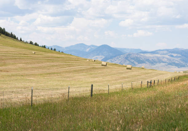Landscape featuring stacked hay bales from a farmers field.
