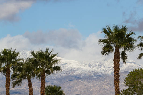 istock winter in Southern California 948305446