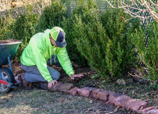 Young man mulching flowerbid