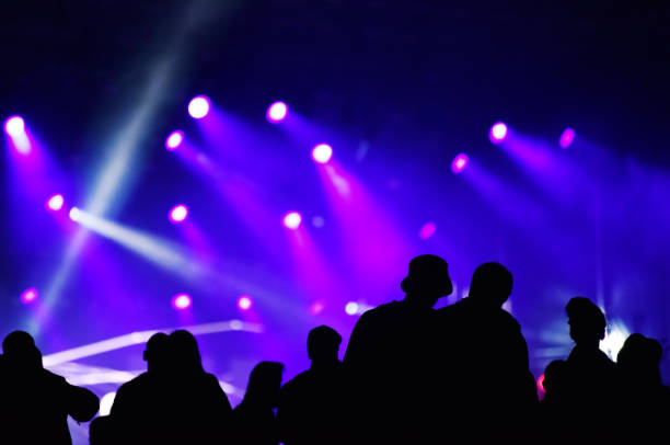 istock Crowd at concert. Stage lights in the back 948344538
