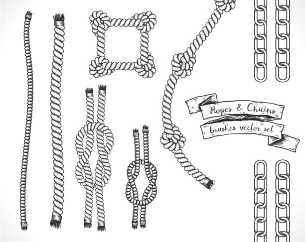 ilustrações de stock, clip art, desenhos animados e ícones de set of hand drawn editable brushes of ropes and chains. - tied knot illustrations