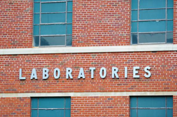 istock Laboratories sign on building exterior 948348766