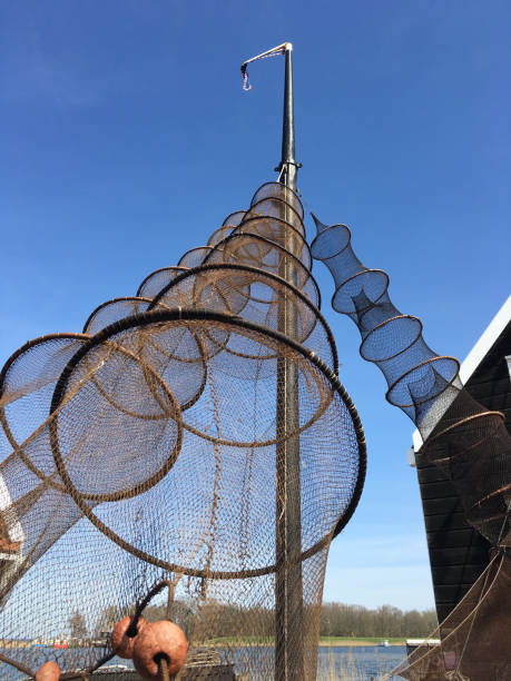 istock Commercial Fishing Net, drying in the sun 948348868