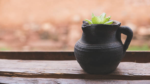 Small succulent in ceramic pitcher next to open window in traditional wooden Chinese building