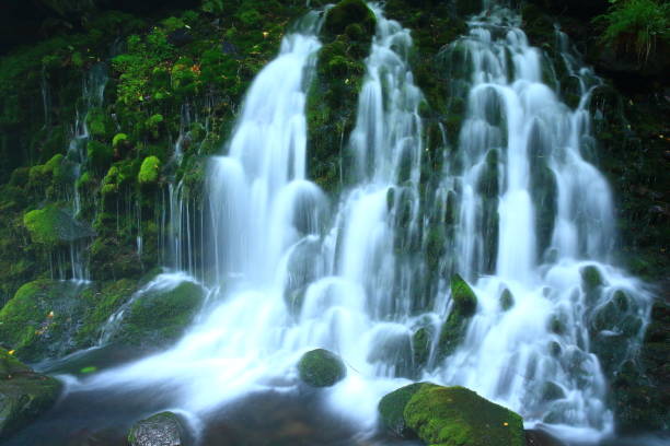 istock Summer former falls underwater water 948358642