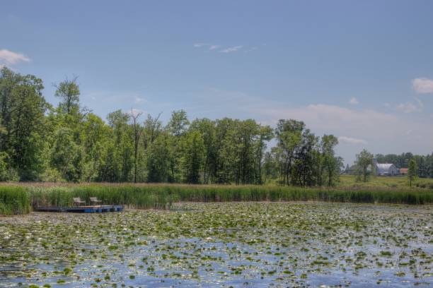 озеро боустринг является частью резервации коренных американцев озера лич в северной миннесоте - hennepin стоковые фото и изображения