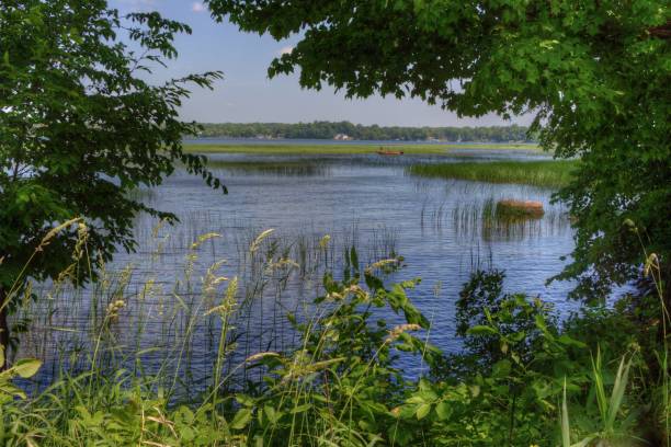 государственный парк отца хеннепина расположен на озере милле-лакс в северной миннесоте - hennepin стоковые фото и изображения