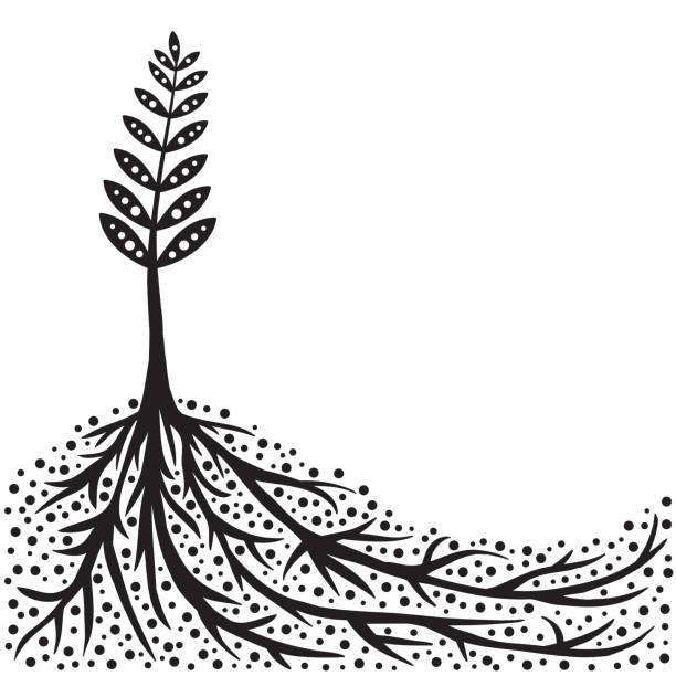 Plant and Roots Background vector art illustration