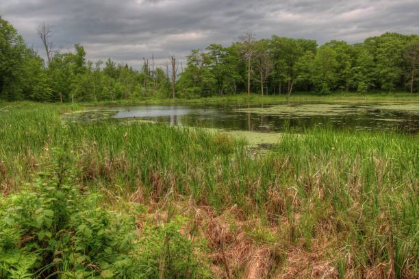 istock Mille Lacs Kathio State Park is located on Mille Lacs Lake in Northern Minnesota 948363090