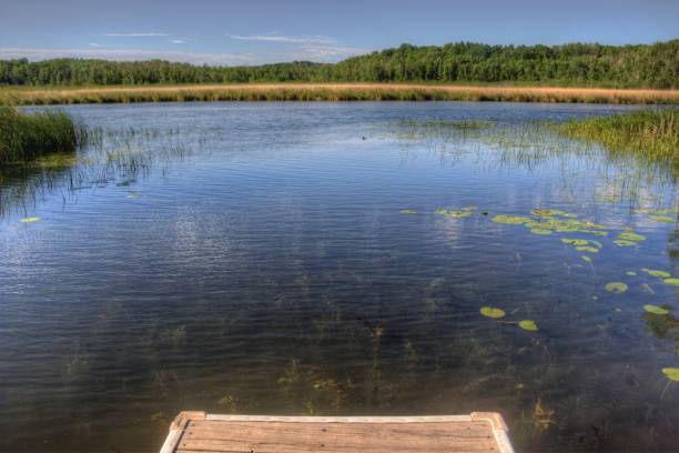 istock Mille Lacs Kathio State Park is located on Mille Lacs Lake in Northern Minnesota 948363176