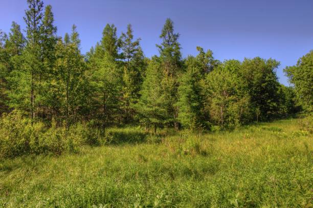 istock Mille Lacs Kathio State Park is located on Mille Lacs Lake in Northern Minnesota 948363268