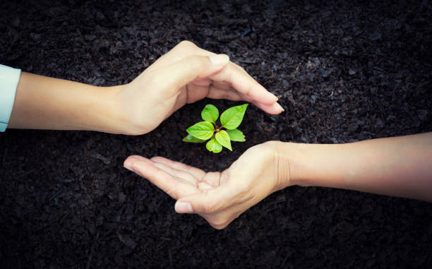 istock People hand group planting a seed in soil agriculture 948369478