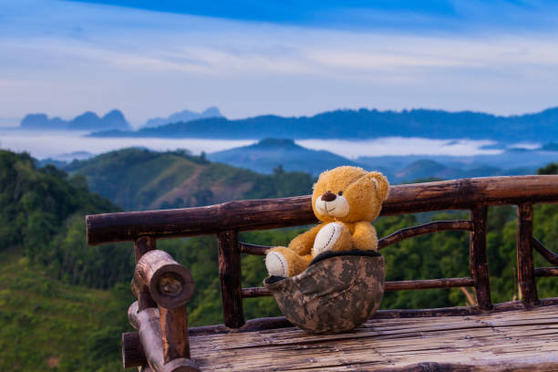 istock a doll bear sitting on military hat 948380048