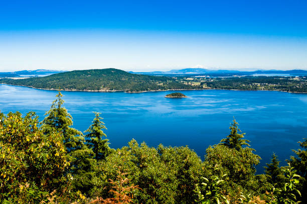 istock Victoria Island Forest, Islands and Straits 948387126