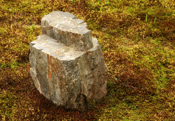 A Garden Rock in Stepping form and Moss in Winter stock photo