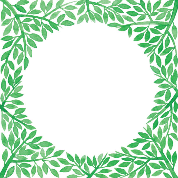 ilustraciones, imágenes clip art, dibujos animados e iconos de stock de marco de la rama verde acuarela - creativity floral pattern illustration and painting square