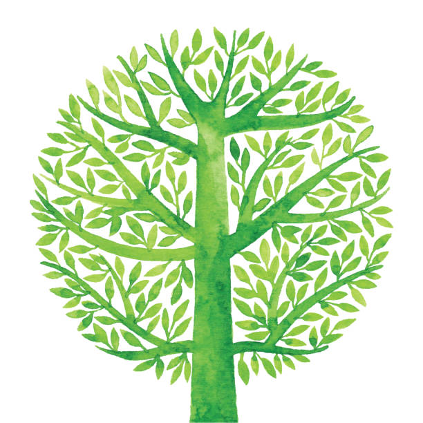 aquarell grüner baum-kreis - tree abstract painted image vector stock-grafiken, -clipart, -cartoons und -symbole