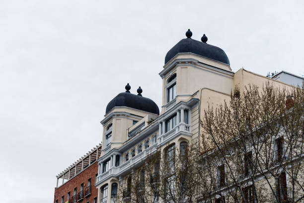 istock Luxury residential properties in downtown district 948403840