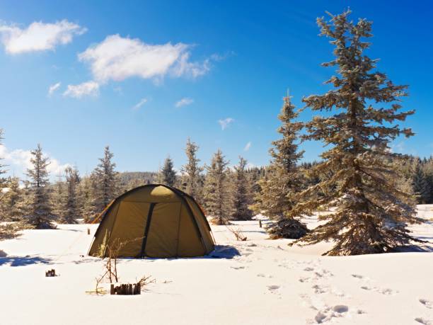istock Camping during winter hiking in mountains. Green touristic tent under spruces 948404654