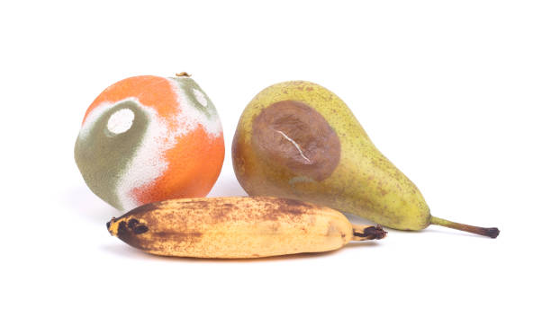 Fruit rotting isolated stock photo