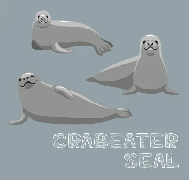 Vector illustration of Crabeater Seal Cartoon Vector Illustration