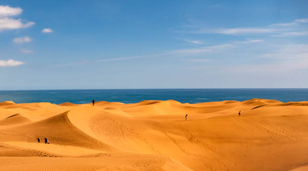 Dunes of maspalomas - Canary Islands, Spain Dunes of maspalomas - Canary Islands, Spain grand canary stock pictures, royalty-free photos & images