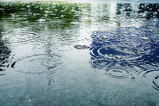 Big puddle: the rain drops falling in a puddle and drops of water on the surface ripples, water bubble and black reflection in a puddle, gray-blue color of the water.