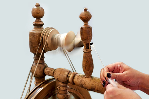 Female hands spin a woolen thread on an old wooden spinning wheel.